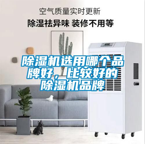 除濕機選用哪個品牌好，比較好的除濕機品牌