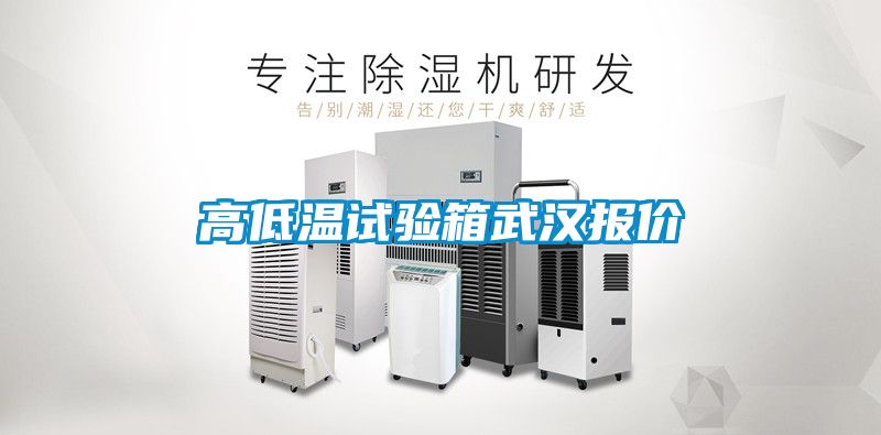 高低溫試驗(yàn)箱武漢報價