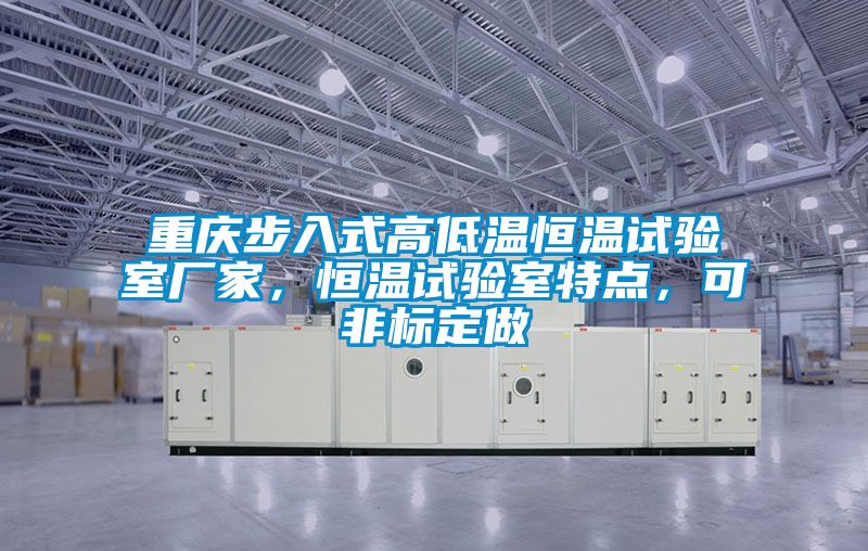 重慶步入式高低溫恒溫試驗室廠家，恒溫試驗室特點，可非標定做