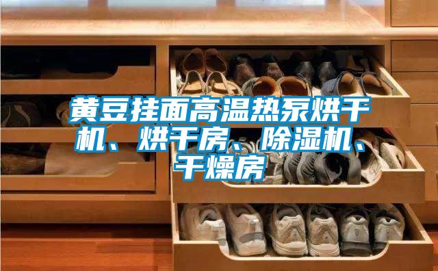 黃豆掛面高溫?zé)岜煤娓蓹C(jī)、烘干房、除濕機(jī)、干燥房