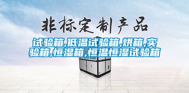 試驗箱,低溫試驗箱,烘箱,實(shí)驗箱,恒濕箱,恒溫恒濕試驗箱