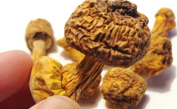 巴西菇、姬松茸烘干機(jī)-怎樣烘干色澤好且菇體褶片完整？