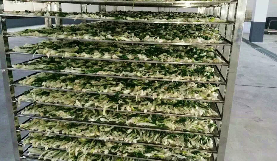 菜干需求一直都很大，蔬菜烘干機很有市場