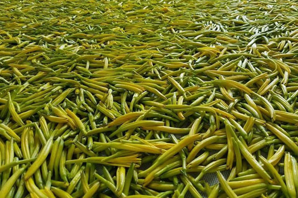無硫金針菜烘干如何保持品相？不發(fā)黑？